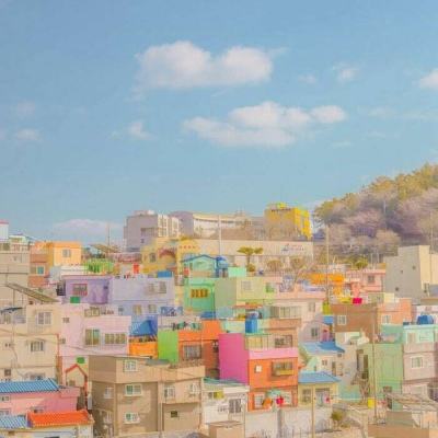 小罗代言的M6米乐APP下载