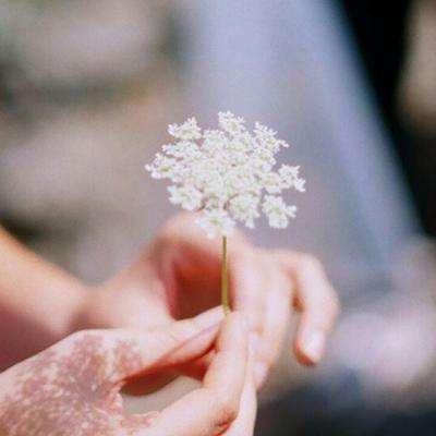 云开平台app官方最新版本