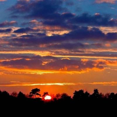 yabo官网网页版截图