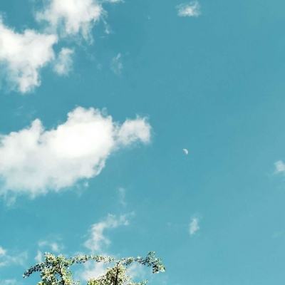 爱游戏综合APP下载截图